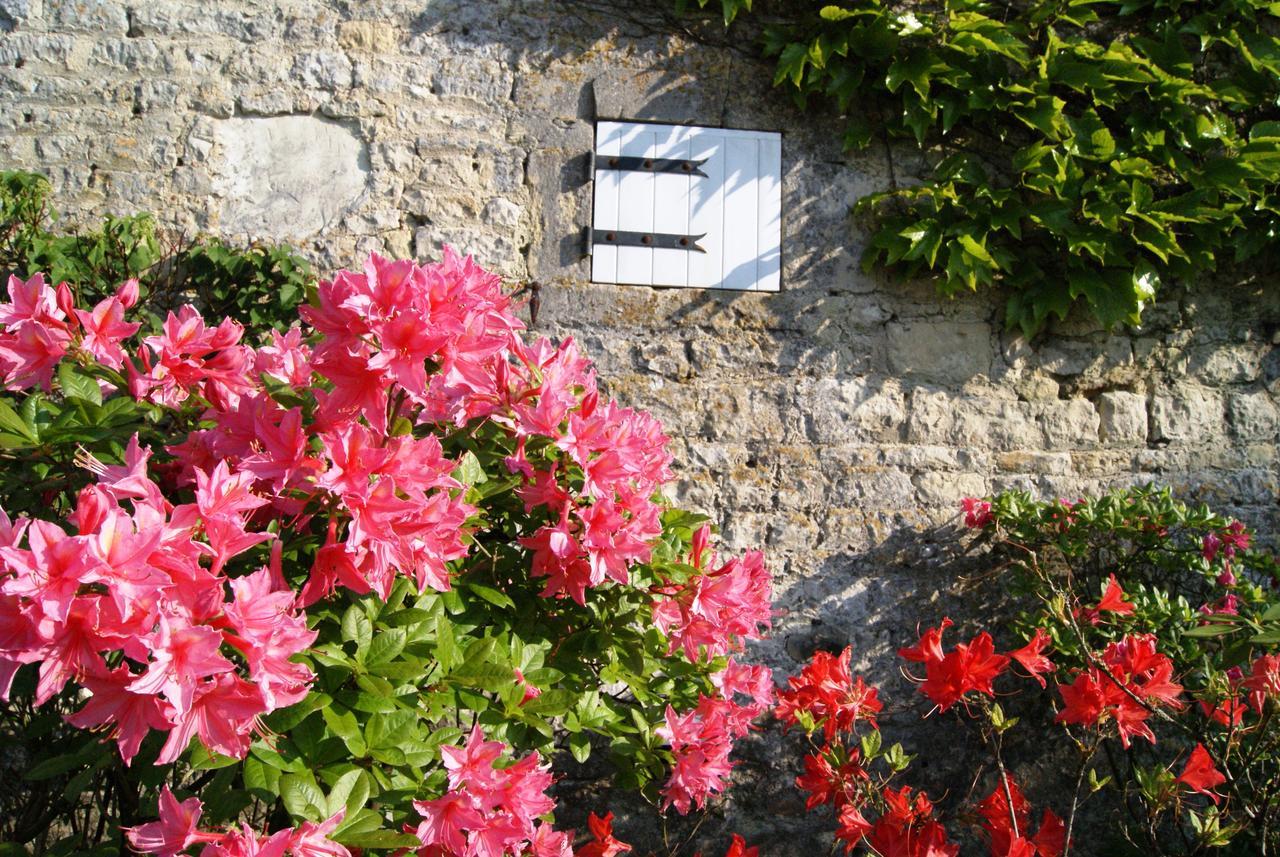 Manoir De La Pataudiere B&B Villers-Canivet Kültér fotó